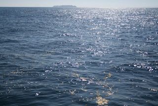 IMG_3302
